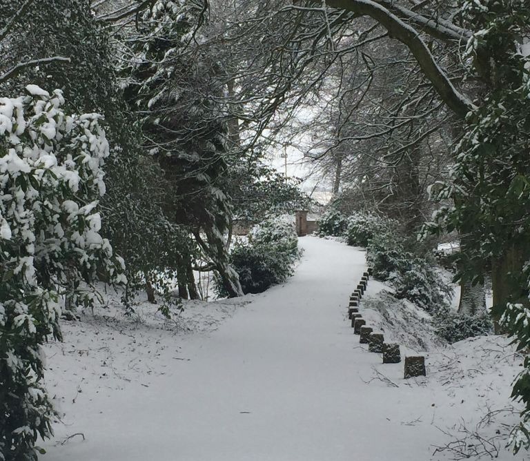 Winter Snow Nithbank Country Estate